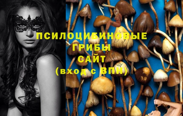 гашик Армянск