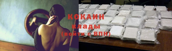 винт Аркадак