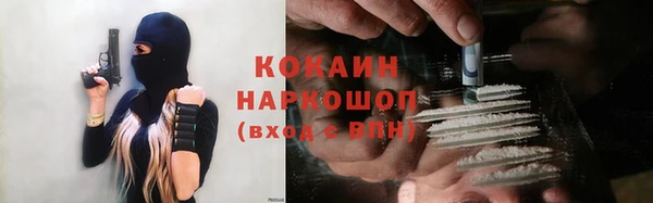 ПСИЛОЦИБИНОВЫЕ ГРИБЫ Арсеньев