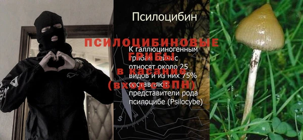 гашик Армянск