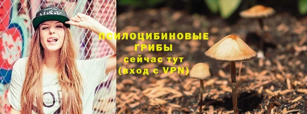 ПСИЛОЦИБИНОВЫЕ ГРИБЫ Арсеньев